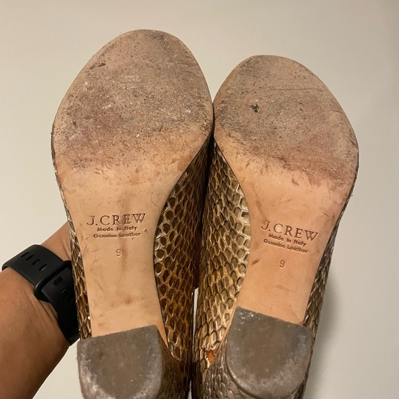 J.Crew Collection Etta Pumps in Snakeskin - Picture 8 of 8